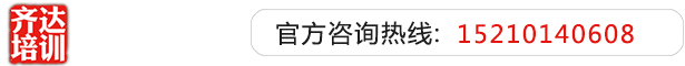 www.免费日逼视频com齐达艺考文化课-艺术生文化课,艺术类文化课,艺考生文化课logo